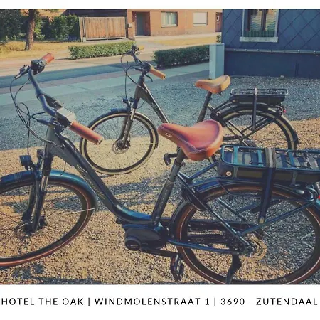 The Oak 2*