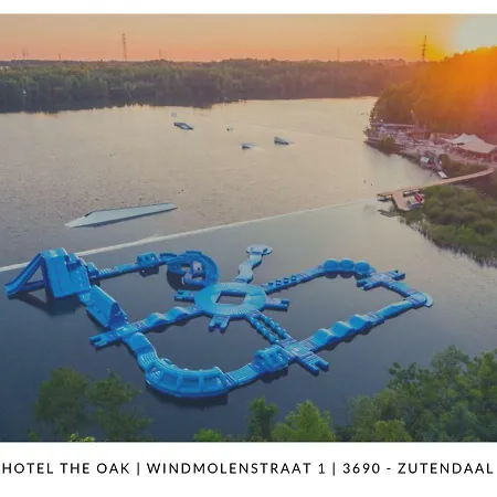 The Oak 2*